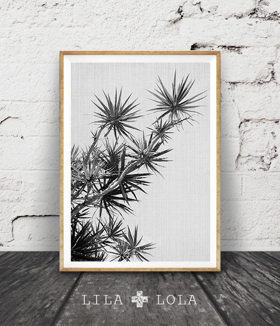 tropical plant poster